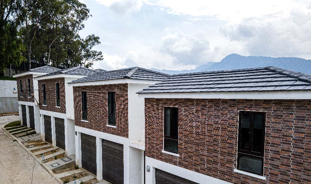 Teja-Americana-color-usos-min